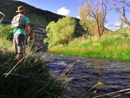 Fly Fishing